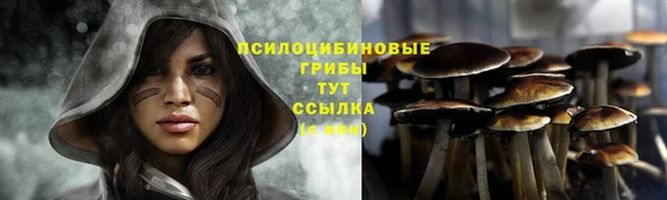экстази Арсеньев