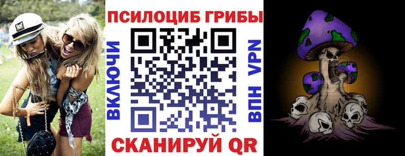 Купить закладки  Тутаев  Псилоцибиновые грибы Cubensis 